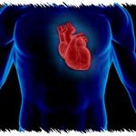 Déterminez votre fréquence cardiaque cible avec la méthode de Karvonen