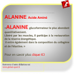 Alanine Acide Aminé producteur d'énergie