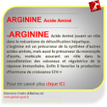 Arginine acide aminé stimulant l'hormone de croissance