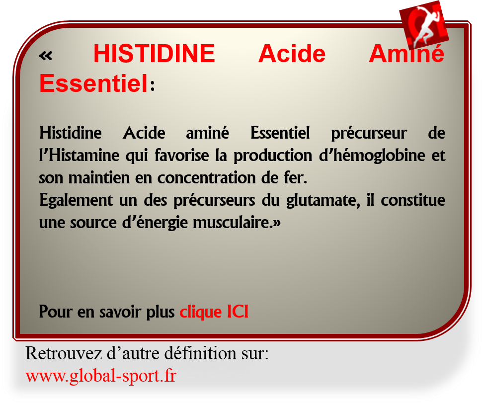 Histidine Acide Aminé source d'énergie musculaire