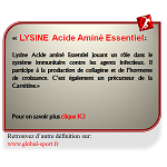 Lysine Acide aminé précurseur de la carnitine