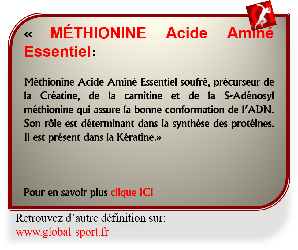 Méthionine Acide Aminé Essentiel précurseur de la Créatine