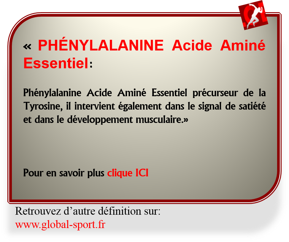 Phénylalanine Acide Aminé favorise le développement musculaire