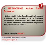 Méthionine Acide Aminé Essentiel précurseur de la Créatine