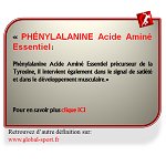 Phénylalanine Acide Aminé favorise le développement musculaire