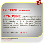 tyrosine acide aminé précurseur des catécholamines